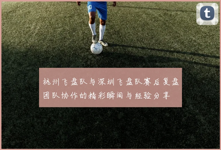 杭州飞盘队与深圳飞盘队赛后复盘团队协作的精彩瞬间与经验分享