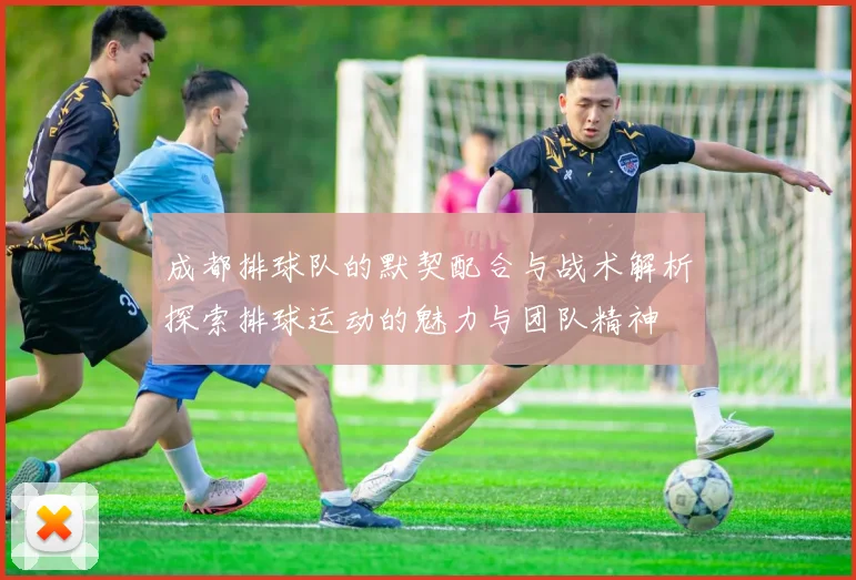 成都排球队的默契配合与战术解析探索排球运动的魅力与团队精神