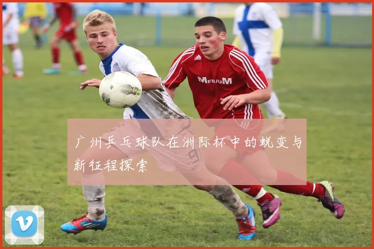 广州乒乓球队在洲际杯中的蜕变与新征程探索